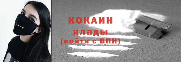 ГАЛЛЮЦИНОГЕННЫЕ ГРИБЫ Абаза