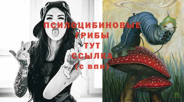 apvp Абдулино