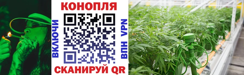 Шишки марихуана план  Красновишерск 